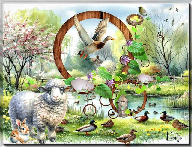 STULPKE 2026 MAART …