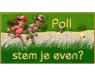 Poll.jpg